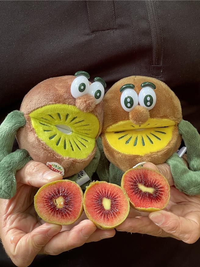 Zespri「宝石红奇异果」号称营养价值与甜度皆是目前种类中最高，即起在台湾也买得到。（朱世凯摄）