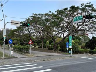 「小綠人」進駐嘉市 全市309處行人穿越安全提升