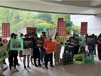 北市自治條例禁止餵食浪浪 愛爸愛媽聚議會抗議
