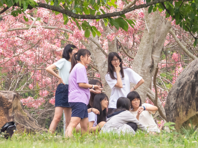暨大学生纷纷前来拍照留念。(照片/国立暨南国际大学提供)