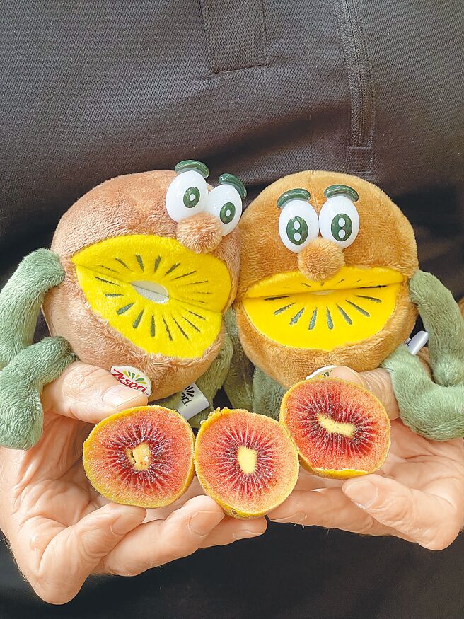 Zespri「宝石红奇异果」号称营养价值与甜度皆是目前种类中最高，即起在台湾也买得到。（朱世凯摄）