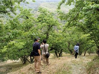 高雄農損現金救助 即日起受理申報