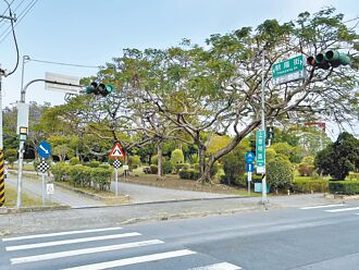 嘉市增50小綠人 行人安心過馬路