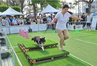 高雄寵物嘉年華夢時代登場 毛孩飼主同樂人狗齊闖關