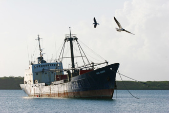 「幽靈船」漂浮巴西海域 載20具腐爛遺體