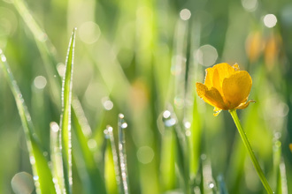 周五迎穀雨 小人作祟！命理師：備2物防暗箭