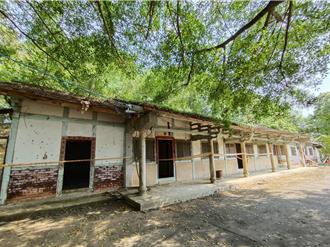 嘉市校園開發「露營區」欲砍老樹惹議 校方回應了