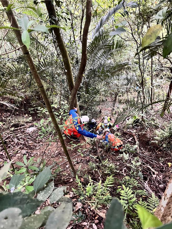 消防人員立即架設繩索下放接觸患者。（民眾提供／李京昇苗栗傳真）