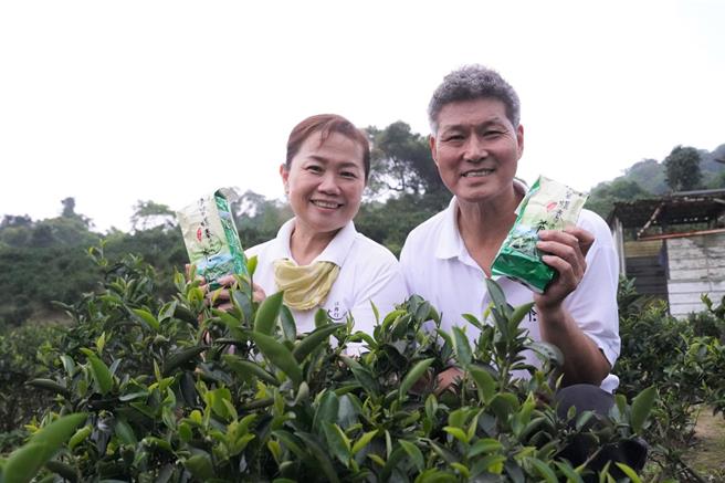由第六代茶農周育成及李秀峯夫婦所經營的三峽茗茶祥興行，獲得今年度春季碧螺春評鑑特等獎。（新北市農業局提供）