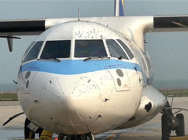 1架华信航空编号AE1272预计3时50分由金门飞往台北班机，在进行登机作业时发现有大量野蜂群聚于驾驶舱周围，造成2名旅客不慎被螫伤。（民眾提供）
