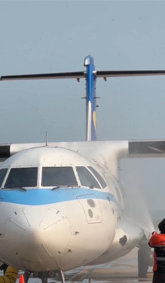 1架华信航空编号AE1272预计3时50分由金门飞往台北班机，在进行登机作业时发现有大量野蜂群聚于驾驶舱周围，造成2名旅客不慎被螫伤。（民眾提供）