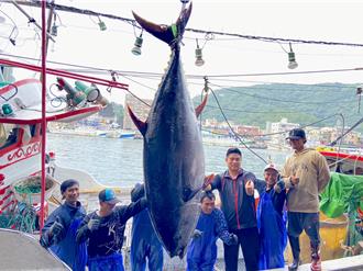 269公斤「全國第一鮪」在南方澳 33歲船長連2年奪第一