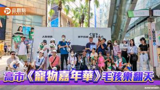 品觀點｜高市《寵物嘉年華》以「毛」為本 吃喝玩樂通通有