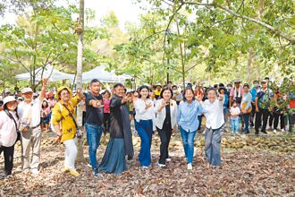 客家桐花祭在古坑 白花黑咖啡螢火蟲