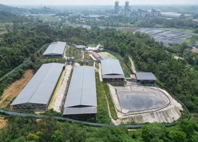 养猪场地处山坡上，占地不小。（图／翻摄澎派新闻）