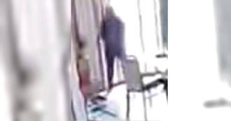 陸婆婆狠砍媳婦3隻狗 小姑竟發聲痛批嫂子