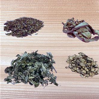 体溼易疲倦、食欲减 中医师教1日常保健：还能防感冒