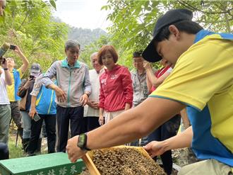 中市太平「花況不佳」蜂蜜產量剩1成 農業部研議災損補助