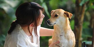 共信-KY動物新藥報喜