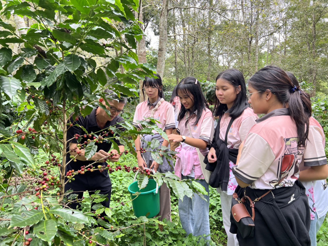 在暨大校园内就有千坪的咖啡园，种植了超过一千棵的咖啡树，透过实地田间管理的操作，学生还能在实务操作中学习并内化理论基础。(照片/国立暨南国际大学提供)