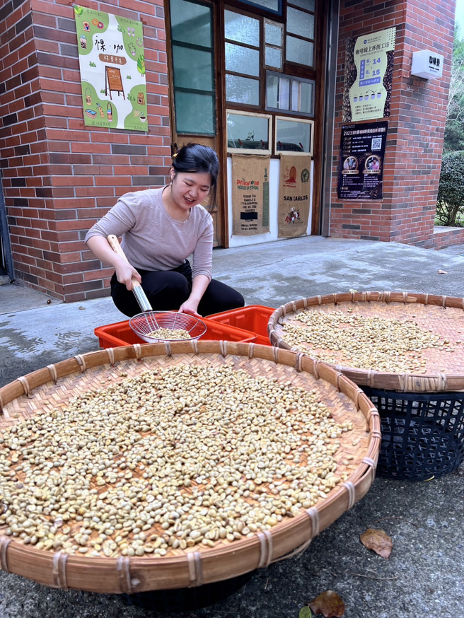 观餐系在课程设计上提供了多元且专业的课程内涵，课程上包括有「咖啡种植与制备」「咖啡饮调实务」以及「咖啡茶与观光发展」等。(照片/国立暨南国际大学提供)