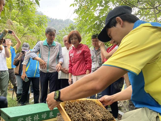民進檔立委何欣純（左二）16日下午邀農業部代理部長陳駿季（左一）前往台中市太平區，了解蜂農受損情形。（王煌忠攝）