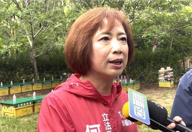 民進黨立委何欣純，為2026台中市長熱門人選，她說「只要黨選出來的候選人，一定全力支持」。（王煌忠攝）