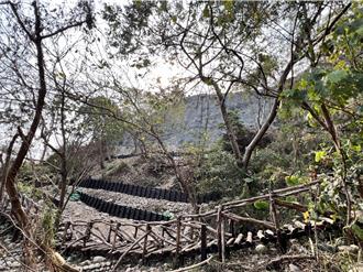 大坑3-1號步道災修完工開放