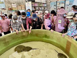 嘉縣學童化身小老師 教長輩認識遠古生物促老幼共學 