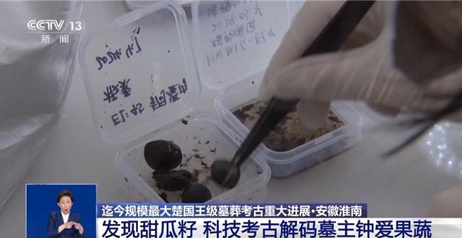 既有栗子又有甜瓜籽，楚国武王墩墓考古，推断墓主生前喜欢吃这些果蔬。（央视新闻）