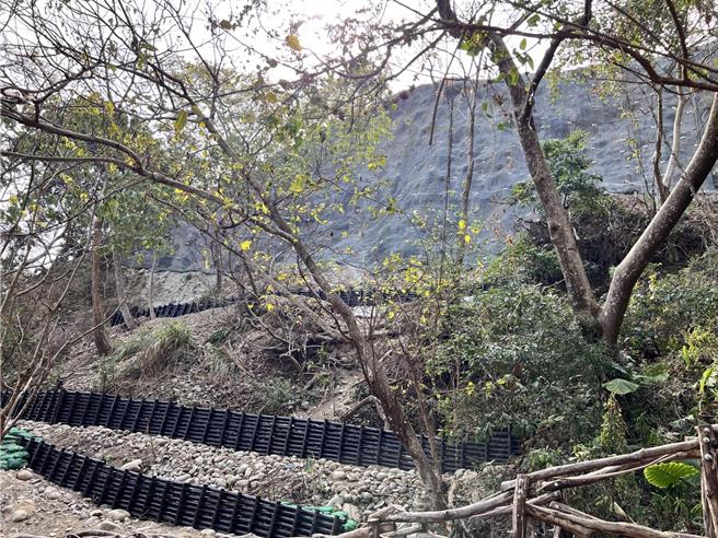 大坑3-1号登山步道经整修后，新建了木椿驳坎。（台中市观旅局提供／张妍溱台中传真）