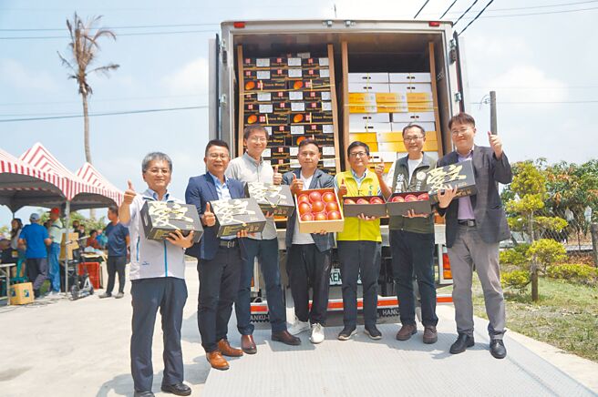 屏東縣芒果季正式揭開序幕，16日首發外銷至香港。（羅琦文攝）