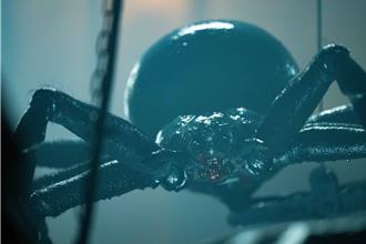 鬼才導演拍《蜘蛛驚》慘留創傷  《阿凡達》金獎特效打造八腳巨怪