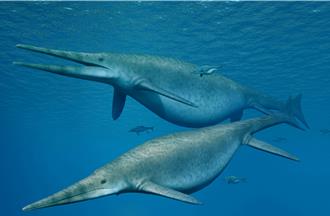 「塞文河巨型魚蜥蜴」恐超過25公尺 史前魚龍成最大海洋爬行動物