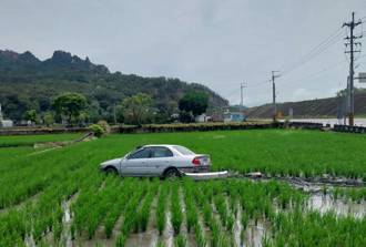 阿伯出事了！7旬翁開鄉間小路 失控直衝水稻田「犁田」