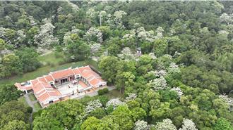 影》苗栗客家大院桐花綻放 空拍俯瞰絕美仙境景致