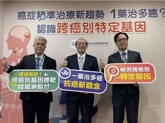 癌症治療新趨勢 有相同變異基因可「1藥治多癌」