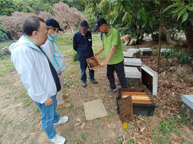 頭份市農會會理事長徐陳森展示今年蜂巢蜜況。（頭份市公所提供／謝明俊苗栗傳真）