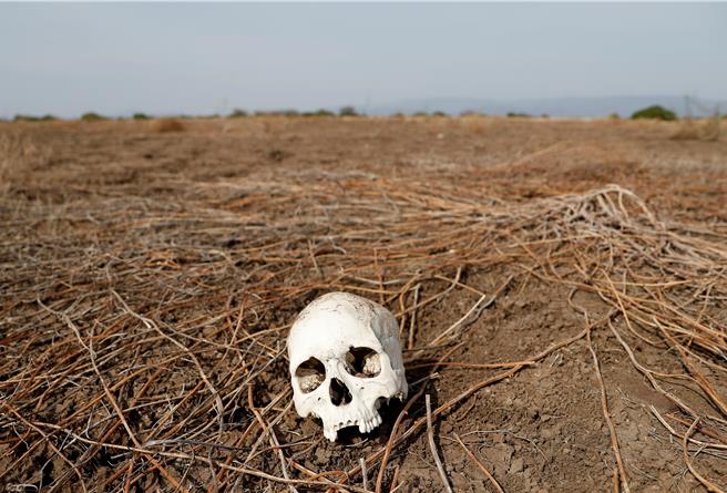 圖為示意圖，非本次考古出土骨骸。（路透社）