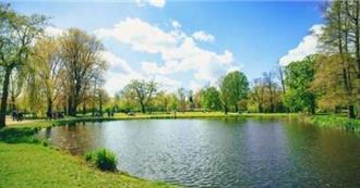 黄伟哲推白河林初埤全面清淤  明年中重现木棉花海倒映湖畔景观