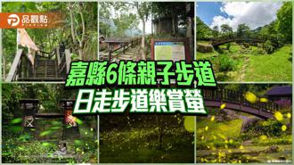 品觀點｜嘉縣6條親子共遊步道 白天走步道晚上賞螢光