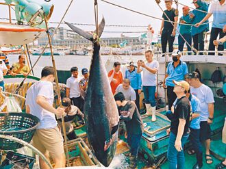 屏東第一鮪驗明正身 4月21日開賣