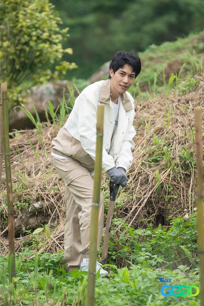 林子闳火速种好一整排树。（TVBS提供）