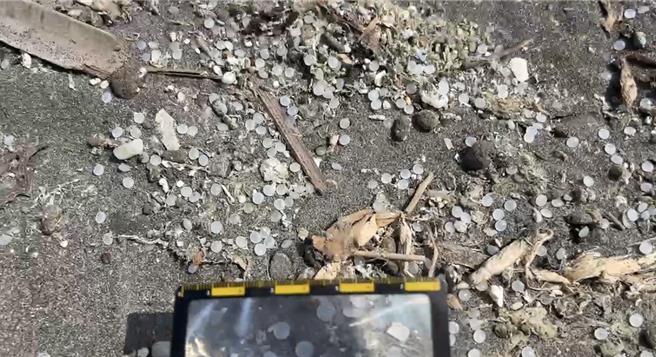 沙灘滿布一顆顆圓圓的塑膠原料粒。（晁瑞光提供／曹婷婷台南傳真）