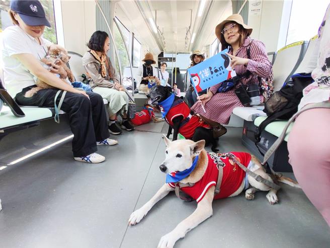 「和愛犬一起搭輕軌看展」不再是夢想！高雄市動物保護處今（19）日上午和高雄捷運公司、高雄市政府捷運工程局與內惟藝術中心共同舉辦「好伴車車～狗狗藝文輕旅行」，首度開放輕軌車廂讓20組毛孩家庭搭乘。（高雄市動保處提供／林雅惠傳真）