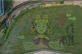 苑裡鎮農會文化生活節「天后派對」 3媽祖稻田彩繪曝光