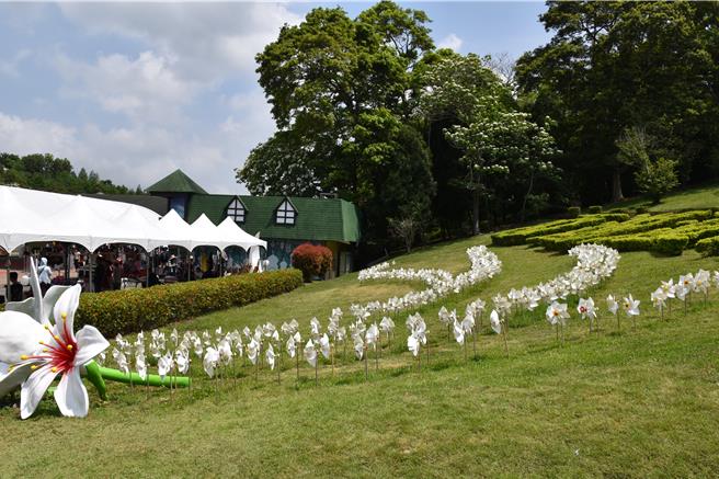 「2024苗栗客家桐花婚禮」20日在三義鄉西湖渡假村浪漫登場，現場正值桐花盛開。（謝明俊攝）