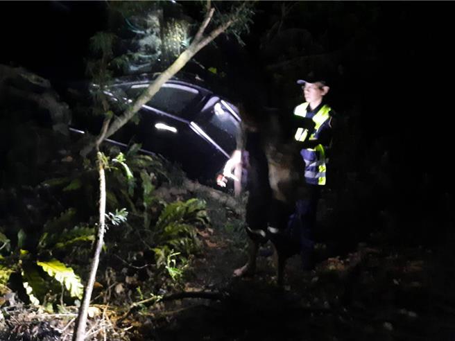 男子開車行經台9線墜落30公尺邊坡獲救，幸僅手腳擦傷。（屏縣消防局提供／羅琦文屏東傳真）