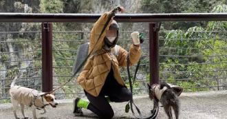 動保法罰則輕難遏止惡行　虐死「茶茶」貓狠男成入獄首例