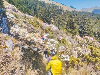 震後災修 合歡山主峰步道封閉4月